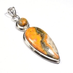 Bumble bee jasper