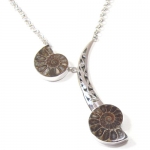 Fossil (Ammonite)