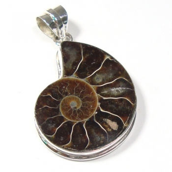 pt-6818_jewelry_image1.jpg